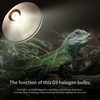 MCLANZOO G9 Heat Lamp Bulbs for Reptiles 25W 4 Pack,Mini