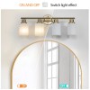 24" Modern 4-Light Vanity Wall Sconce, Golden Finish with Frosted