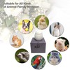 Mini Urns for Ashes, Handicrafted Matte Ceramic Cat Ashes Urns