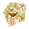 Caspari Birds Of A Feather Cocktail Napkins - 20 Per