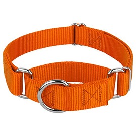 Country Brook Design Collar para perros Country Brook Petz Martingale - Collar de entrenamiento resistente sin hebilla - Collar para perros de servici