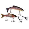 PetrisCatch Set of 2 Wobblers + 4 Steel Leaders, 16