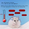 Hamster cage Cools in Summer and Keeps Warm in Winter.Creative