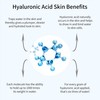 Anti-Aging Hydro Absolute Moisturizer – Super Charged Face, Neck &