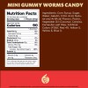 iLike! Mini Gummy Worms Candy, Assorted Fruit Flavors, 1-Pound (Pack