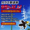Crows Why Run Away - King Set of 2