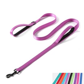 Reflective Nylon Dog Leash Heavy Duty, Two Handles with Padded for Extra Control Outside Durable Training Lead for Small Medium Large Breed Pet Dogs, 5ft Long 1-inch Width, Purple