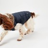 Rosewood Joules Cherington Coat For Dogs, Small Navy Blue