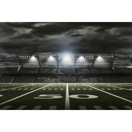 American Football Stadium Rendering 50 Yard Line Laminated Dry Erase Sign Poster 18x12