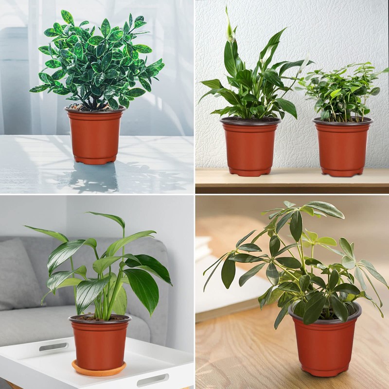 Augshy Augshy 40 Pcs 6" Plastic Plant Nursery Seed Starting