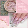 6Grids Butterfly Nail Charms - 3D Acrylic Butterflies Nail Art