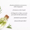 Doterra Northern Escape (mezcla De Bosques) Doterra 5ml