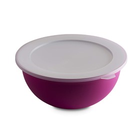omada Sanaliving Design Bowl (3.5 Litres) with Polypropylene Lid and Integrated Antimicrobial Agents Eliminates Bacteria and Fungi