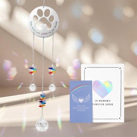 Emibele Pet Memorial Suncatcher with Paw Print, Memorial Gifts for Loss of Dog, Pet Passing Away Sympathy Gift, Thoughtful Cat Dog Remembrance and Bereavement Gifts