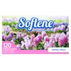 Spring Fresh Dryer Sheets 120ct