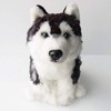 Realistic stuffed dog | Husky