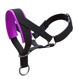 ILEPARK Dog Head Collar with Padded Fabric, Head Harness for Dogs, Anti pulling Head Halter Collar, Adjustable and Easily Control (M, Purple)