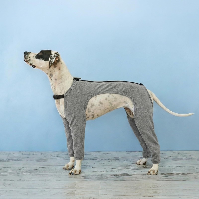BRKURLEG Dog Recovery Suit with Legs, Leg Wound Protector Soft