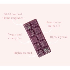 Alien Invasion Wax Melt Snapbar Clamshell | 100% Vegan Soy Wax | Luxury Long Lasting Melts | Handmade in London