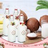DoubleFill 8 Set Christmas Coquito Swing Top Glass Bottles 16