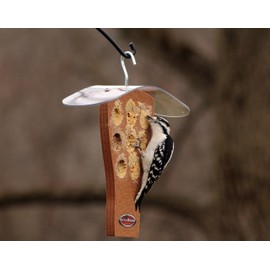 Kettle Moraine Peanut Butter Feeder with Clear Roof (Chocolate)