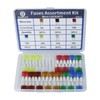 Micro 2 Car Blade Fuses Assortment Kit – Micro2 Fuses