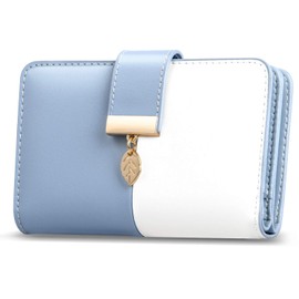 Faneam Women's Leather Purse with Multiple Compartments with RFID Protection 18 Card Slots with Zip Chain and Lanyard, blue, Classic