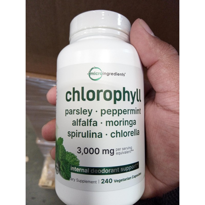 Chlorophyll 3,000mg Equivalent | 240 Veggie Capsules with Parsley, Peppermint,