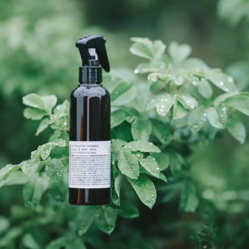 Yuan Jae 유안재 어성초 판테놀 쿨링 두피케어 미스트 200g Yu-anjae