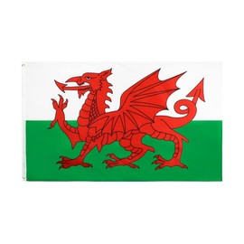 ANJOR Wales Flag 3x5Fts - Welsh Flags With Brass Grommets 3 X 5 Ft