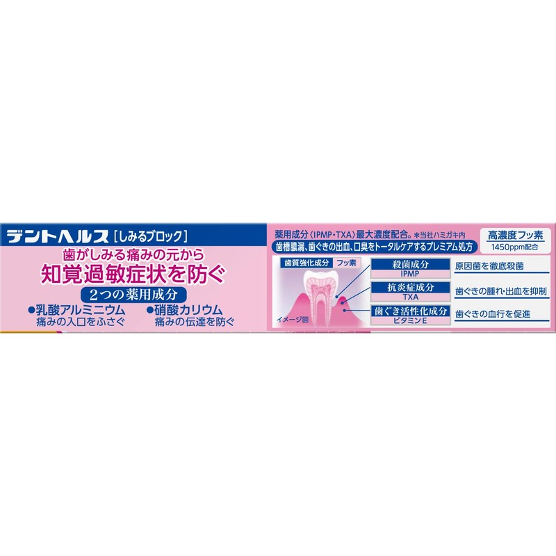Dent Health [Quasi-Drug] Medicated Toothpaste for Preventing Pyorrhea, Sensitivity Block