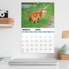 Calendar 2025 - Dogs Pooping Calendar 2025, funny Dog Calendar