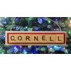 Cornell Christmas Ornament Letters Tiles Craft