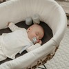 Suavinex, Dummy Chain, Dummy Clip, for Babies + 0 Months,