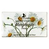 Florinda Spring Flowers Daisies Vegetal Soap Bar 100 G 3.5