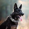 MAOWUWUJOZ Martingale Collar for Dogs - Reflective Nylon No Slip