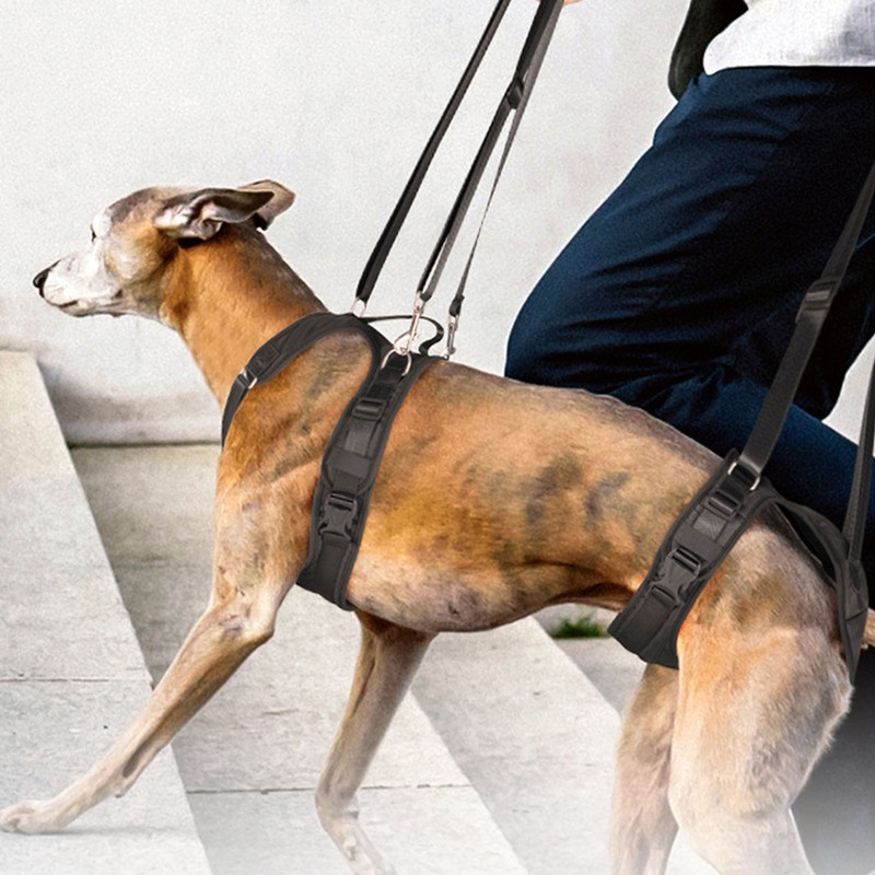 Dog Front Leg Support Sling Portable Breathable Split Auxiliary Chest