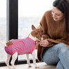 Dog Surgery Recovery Suit, Recovery Shirt for Male Female Dog