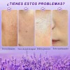 Base Maquillaje Polvo Compacto Matte Con Espejo Lavanda