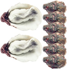 LOGOFUN 8Pcs Artificial Oysters Model Fake Shellfish Seafood Photography Prop Simulation Oysters Prop for Kitchen Home Party Decorations