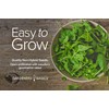 Gardeners Basics, Bloomsdale Spinach Seeds for Planting is A Great