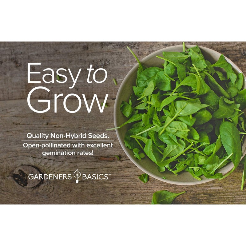 Gardeners Basics, Bloomsdale Spinach Seeds for Planting is A Great