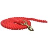 William Hunter Equestrian Plain Horse Lead Rope in Red