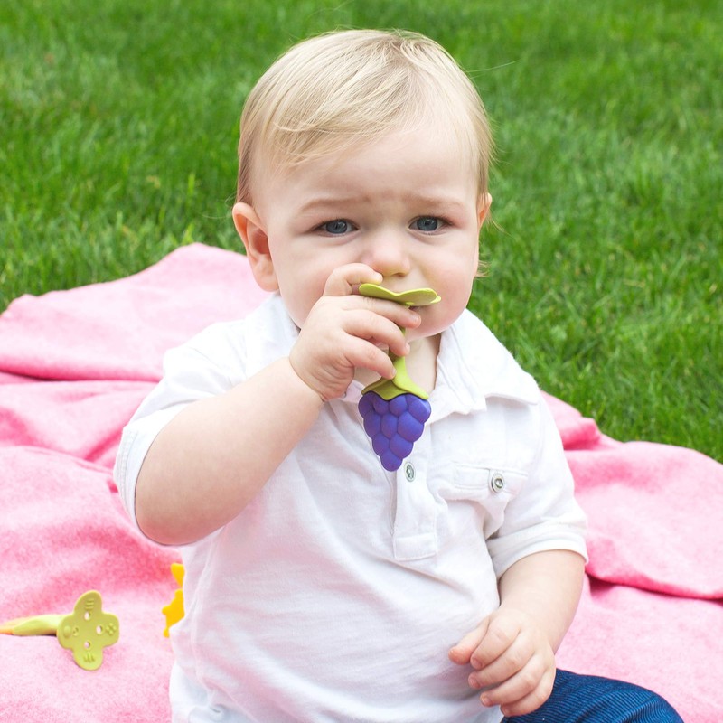 Innobaby Original Teethin Smart EZ Grip Fruit Teether and Sensory
