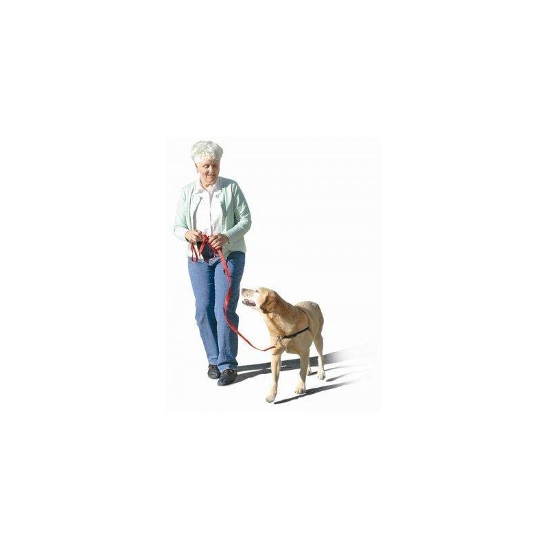 The Original Sense-ation No-Pull Dog Training Harness (Blue, Medium-Large Wide)