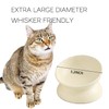 Cat Food Bowls Elevated Tilted, Ceramic Cat Food Bowls, Elevated