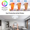 Dorlink LED Ceiling Light, 32W 2880LM Modern Ceiling Light Round