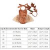 Newborn Christmas Outfit Baby Girl Baby Deer Costume Tutu Romper
