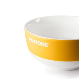 PANTONE - Ciotola Colazione in Porcellana Resistente Antimacchia, Graffi, Odori, Bowl Tazza Colazione Grande per Cereali 650ml 13,8x7, Ciotole Cucina per Lavastoviglie e Microonde, Idee Regali Natale