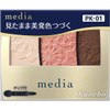 Media Color Eyeshadow N PK-01 3.1 g Kanebo Cosmetics /